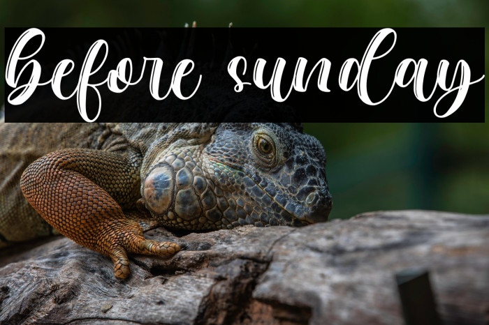 before sunday Example 3