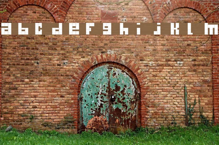 begginner Font examples