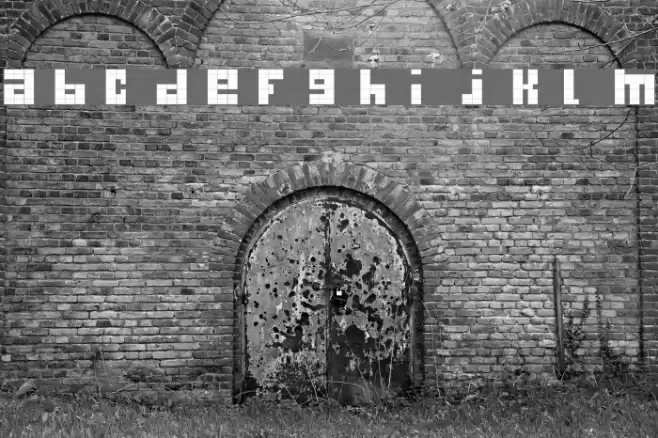 begginner Font examples