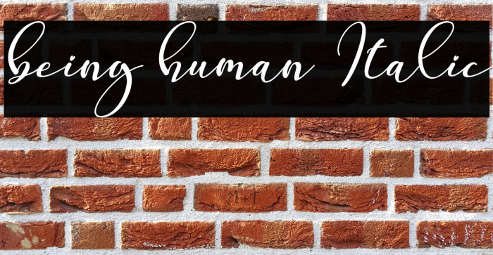 being human Italic Example 2