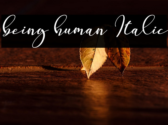 being human Italic Example 3