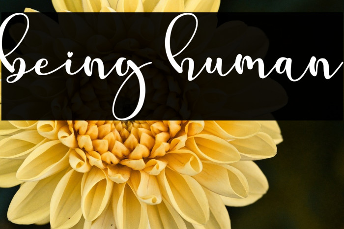 being human Example 3