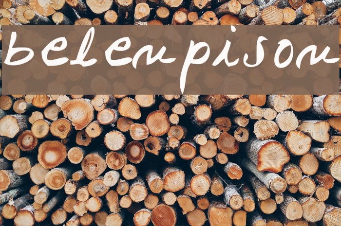 belenpison Font examples