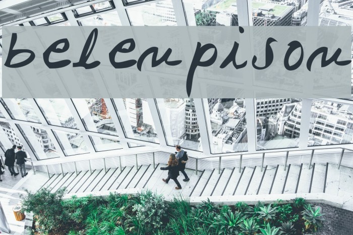 belenpison Font examples