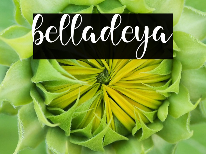 belladeya Example 3