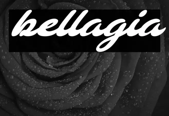 bellagia Font examples