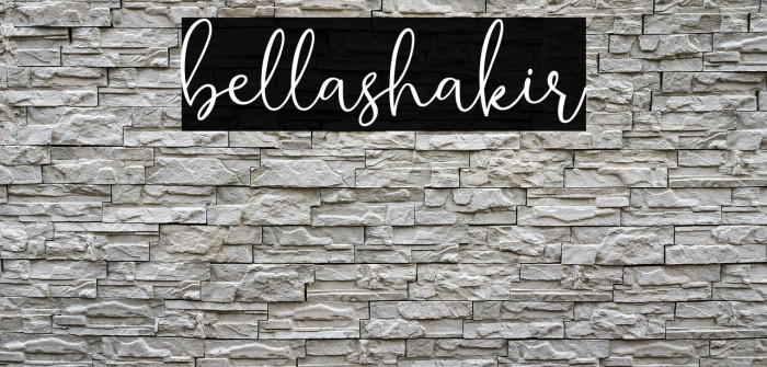 bellashakir Example 1