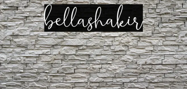 bellashakir Example 1