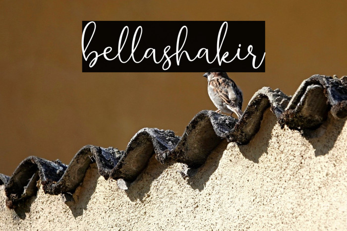 bellashakir Example 2