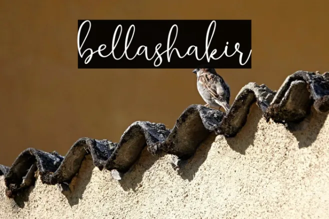 bellashakir Example 2