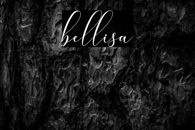 bellisa Font examples