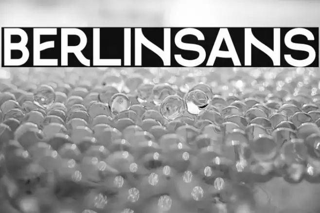 berlinsans Font examples
