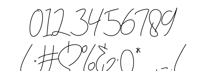berlinsignature Font OTHER CHARS