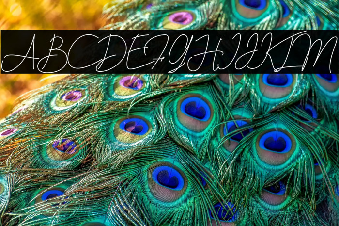 berlinsignature Example 1