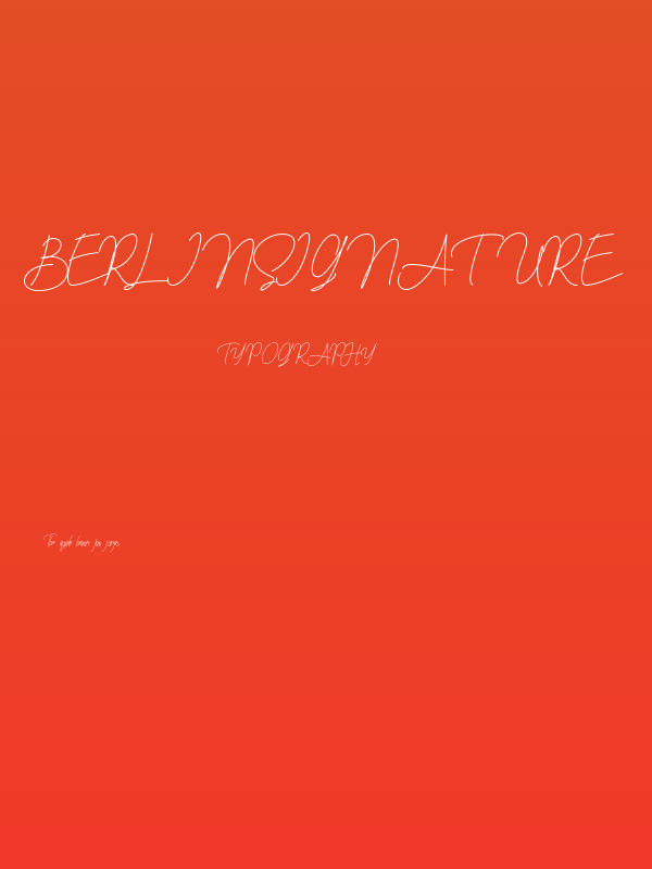 berlinsignature Poster