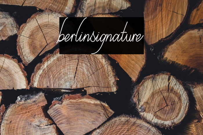 berlinsignature Example 3