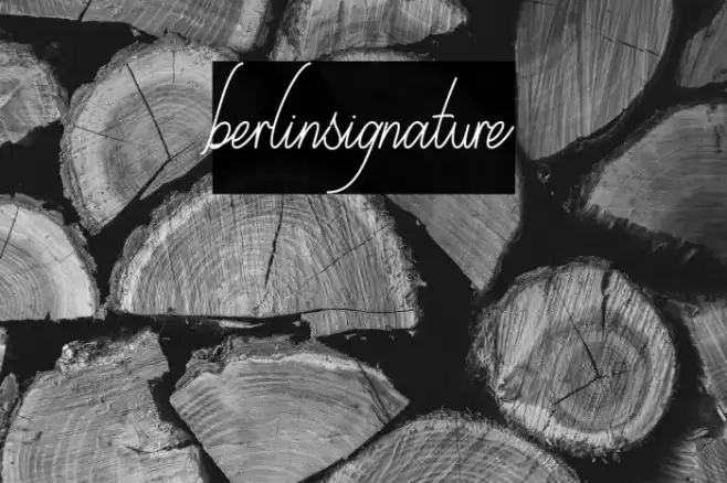 berlinsignature Font examples