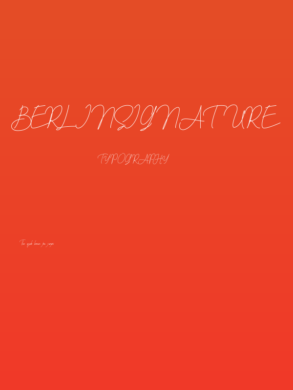 berlinsignature Poster