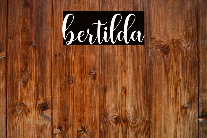 bertilda Example 1