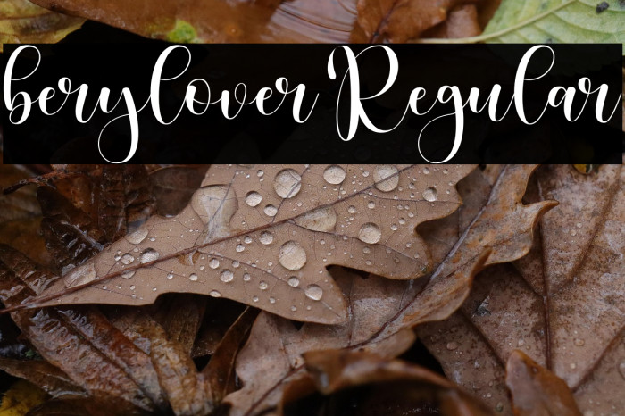 berylover Regular Example 2