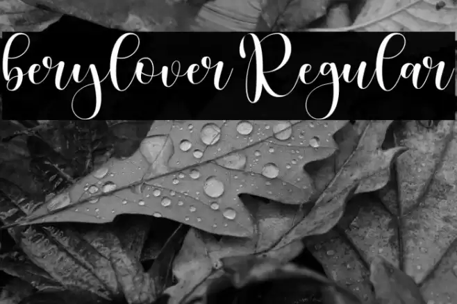 berylover Regular Font examples
