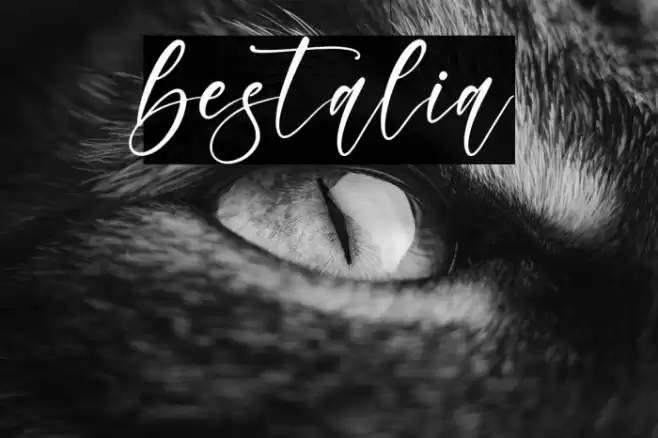 bestalia Font examples