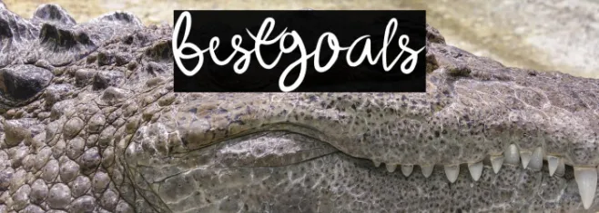 bestgoals Example 2