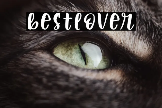 bestlover Example 1