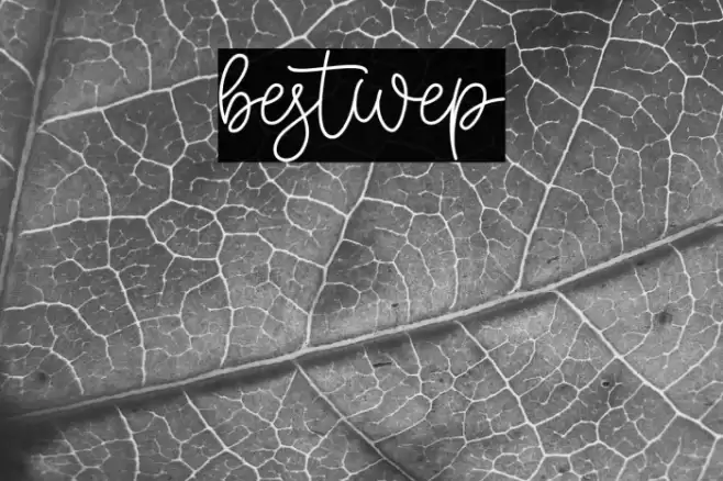 bestwep Polices examples