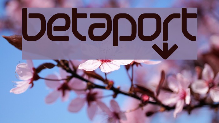 betapoRt フォント examples