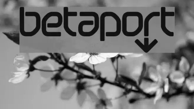 betapoRt Font examples