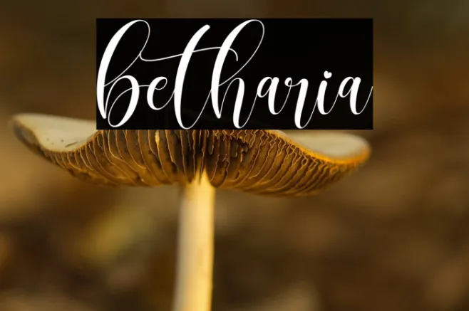 betharia Example 3