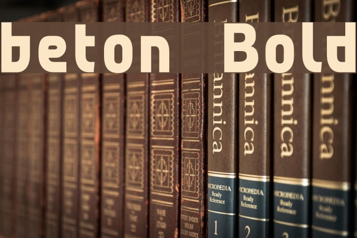beton Bold Font examples