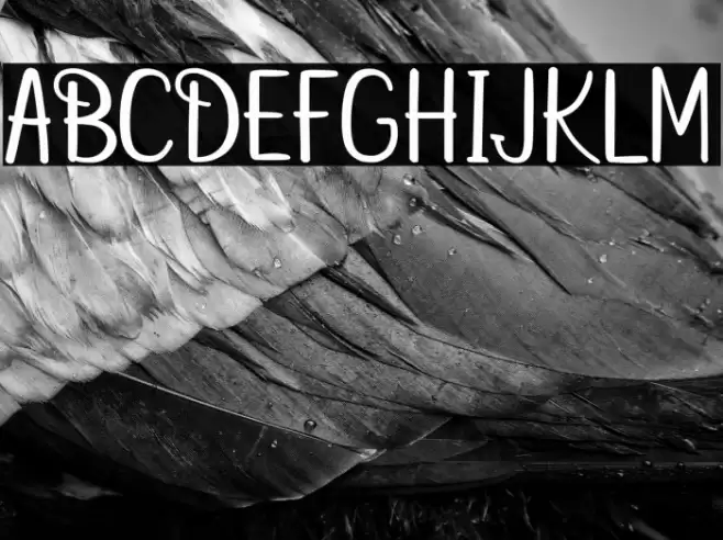 betterfly christmas Font examples