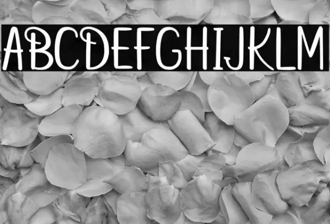 betterfly christmas Font examples