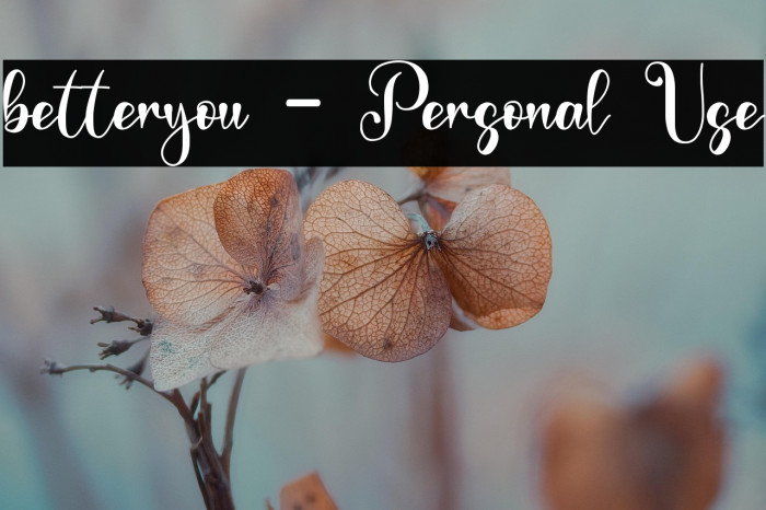 betteryou - Personal Use Example 3