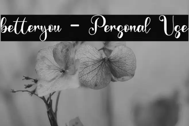 betteryou - Personal Use Font examples