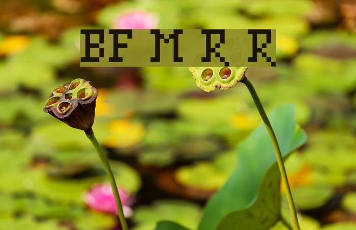 BF Mnemonika Regular Regular Example 1