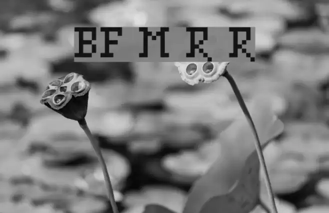 BF Mnemonika Regular Regular Font examples