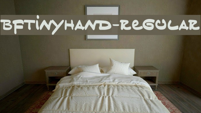 BFTinyHand-Regular Example 1