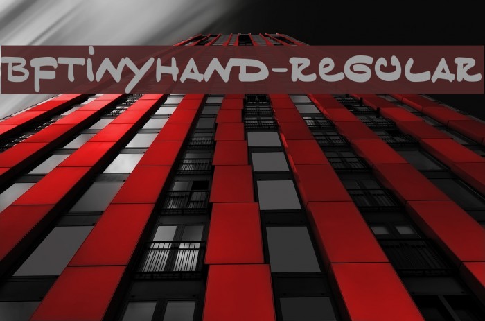 BFTinyHand-Regular Example 2
