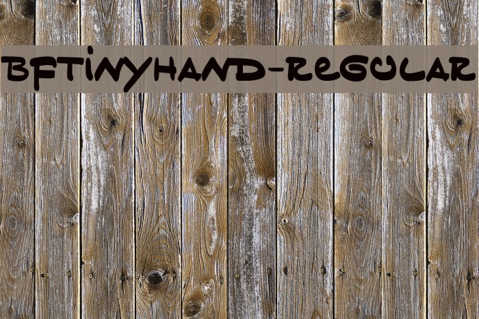 BFTinyHand-Regular Example 3