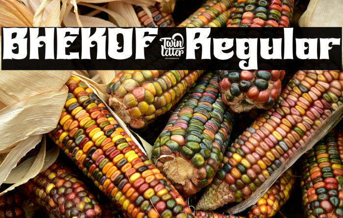 BHEKOF-Regular Example 2