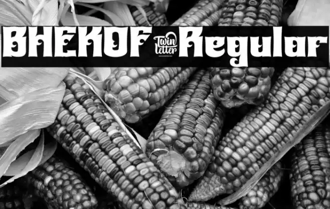 BHEKOF-Regular फ़ॉन्ट examples