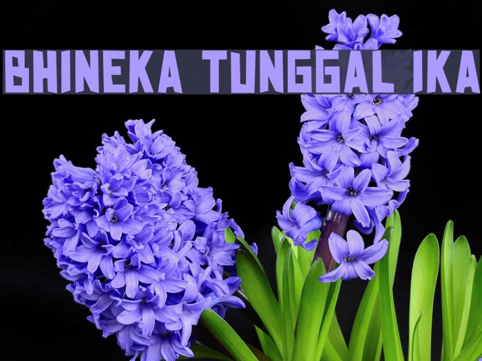 BHINEKA TUNGGAL IKA Font examples