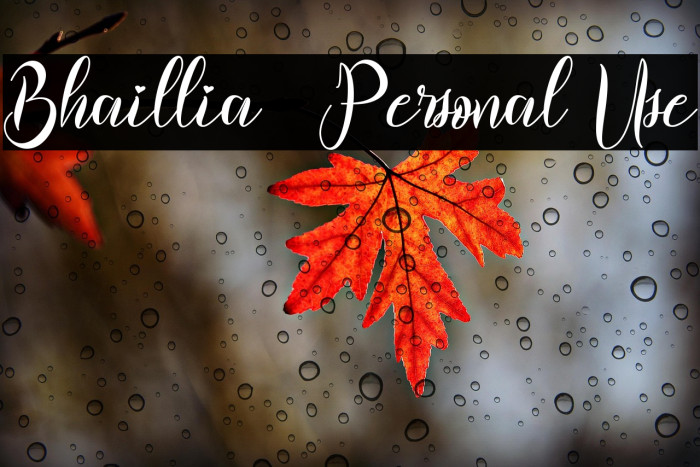 Bhaillia - Personal Use Example 1