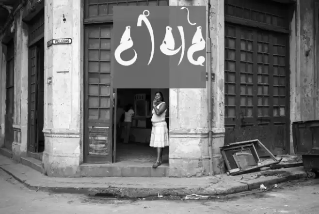 Bhains Schriftart examples