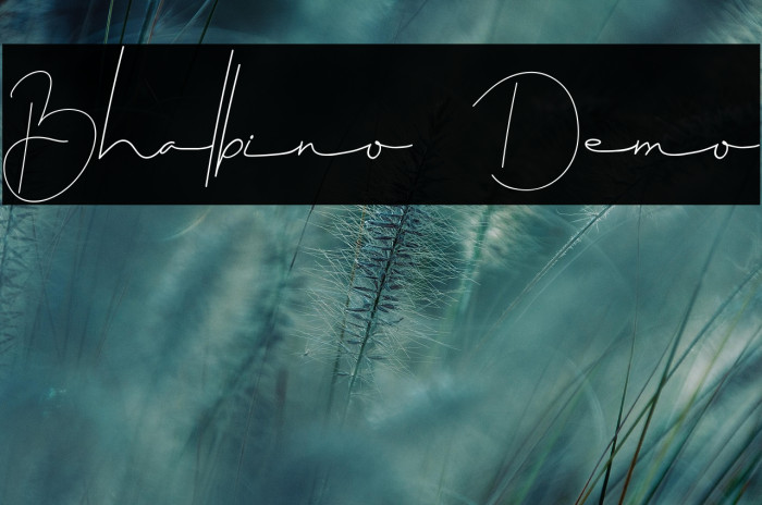 Bhalbino Demo Example 1