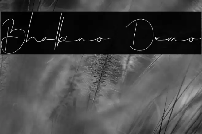 Bhalbino Demo Font examples