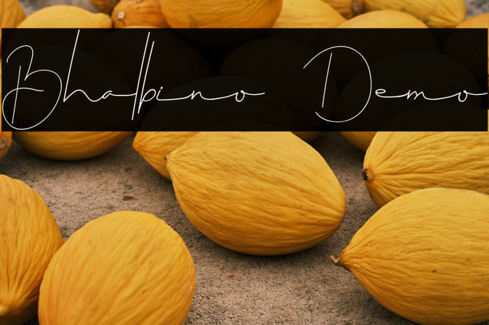Bhalbino Demo Example 3